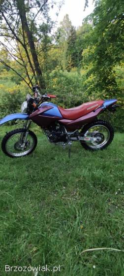 Honda XR 2003