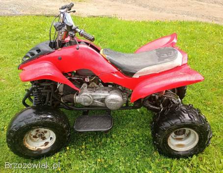 Quad 150 AUTOMAT