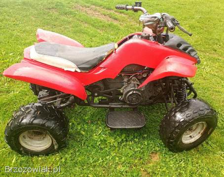 Quad 150 AUTOMAT
