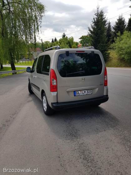 Peugeot Partner Tepee 2009