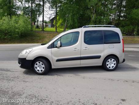 Peugeot Partner Tepee 2009