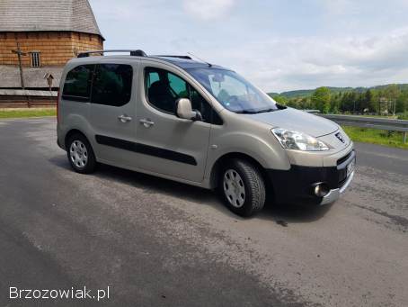 Peugeot Partner Tepee 2009