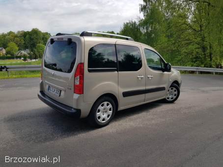 Peugeot Partner Tepee 2009