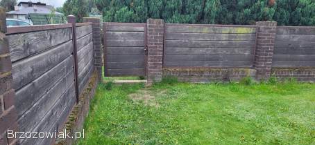 Panele ogrodzeniowe + bramka ogrodzeniowa