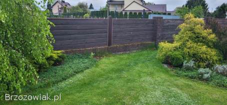 Panele ogrodzeniowe + bramka ogrodzeniowa