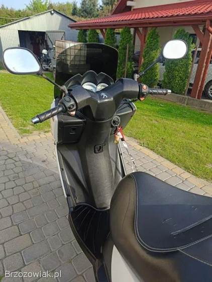 Peugeot Citystar 2014