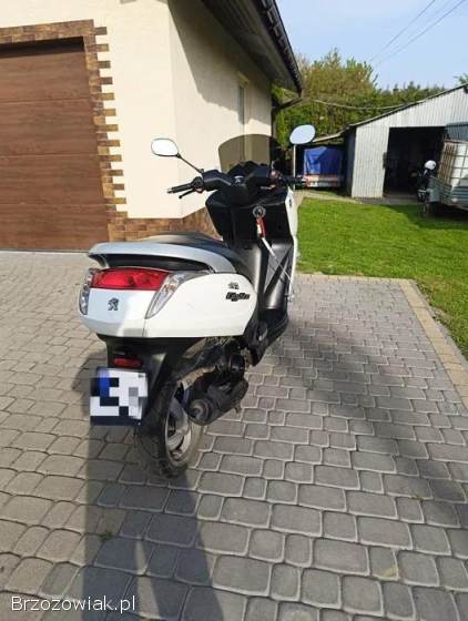 Peugeot Citystar 2014