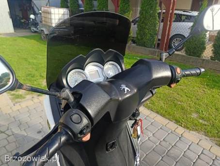 Peugeot Citystar 2014