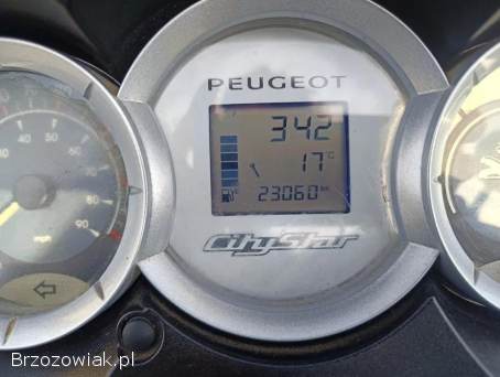 Peugeot Citystar 2014