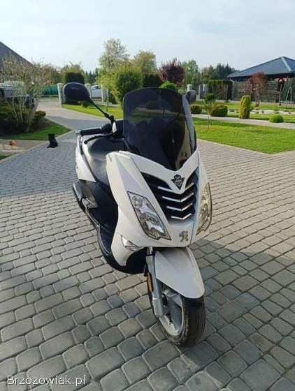 Peugeot Citystar 2014