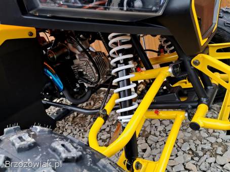 Duży Quad 125 Barton Terrax fabrycznie nowy 2025,  licznik,  hydrauliczne hamulce