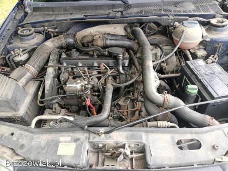 Volkswagen Golf 1.  9TDI 90km 96r 1996