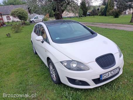 Seat Leon II 2009