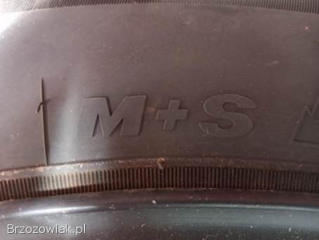 Felgi 15 stalowe FORD z oponami zimowymi 195/65/15