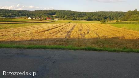 ZMIENNICA -  Sprzedam działki z warunkami zabudowy