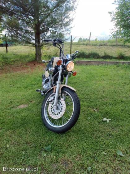 Yamaha Virago XV500L 1998