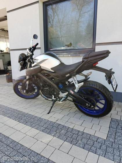 Yamaha MT 2016