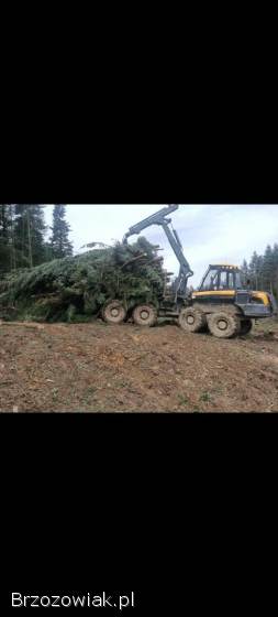 Wycinka drzew,  transport