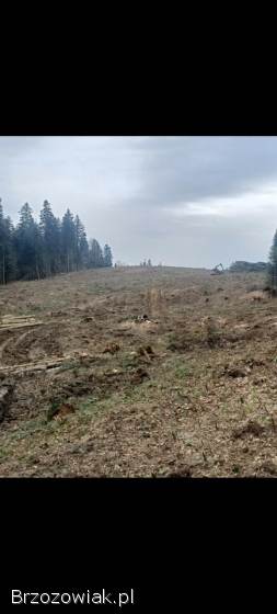 Wycinka drzew,  transport