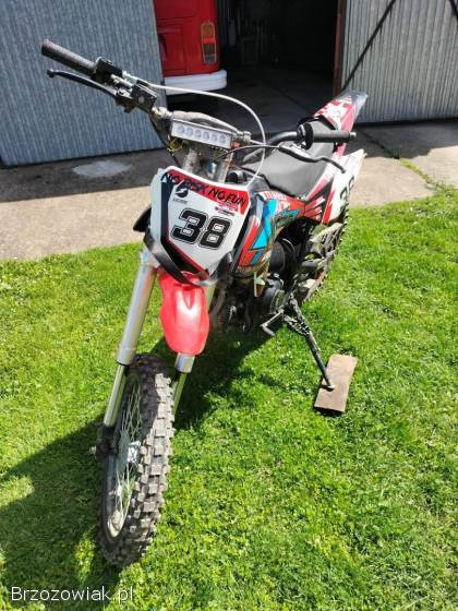 Xmotos XB 38 2018