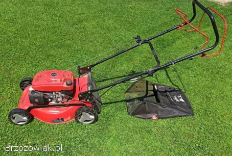 Kosiarka spalinowa Einhell GC-PM 46/4