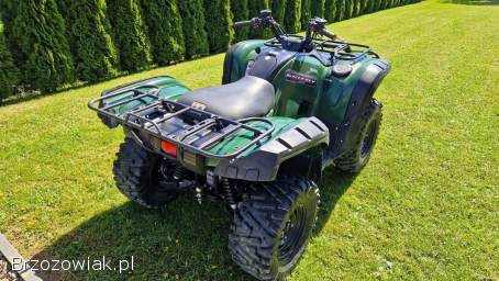 Yamaha Grizzly 550