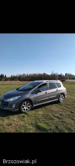 Peugeot 308 Sw 2008