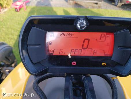 Can-Am Ryker 600cc 2023/24 2023