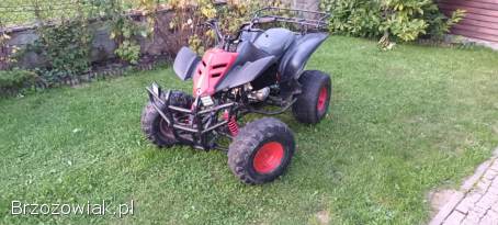 Bashan 250