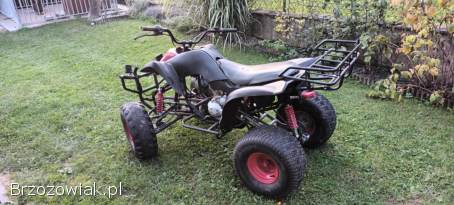 Bashan 250
