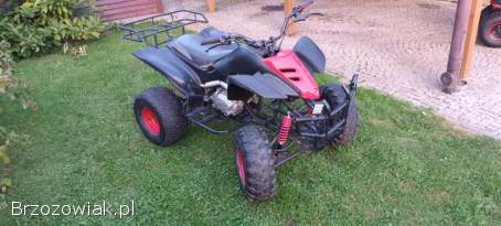 Bashan 250