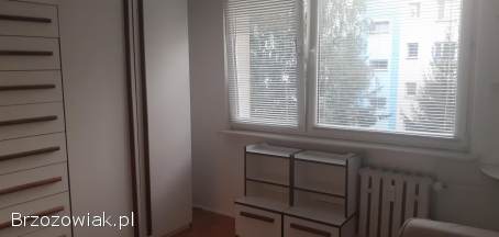 Krosno -  mieszkanie 3 pokoje,  60,  90m2