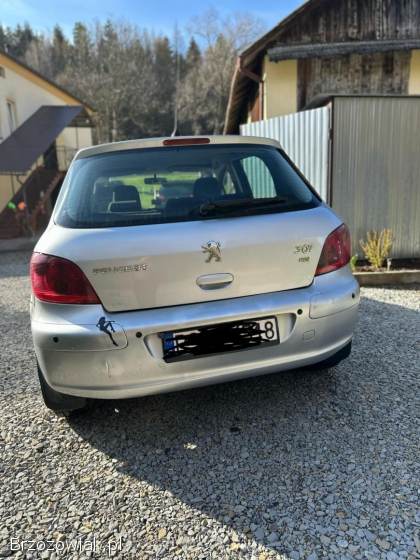 Peugeot 307 2002