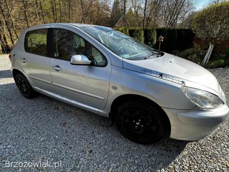Peugeot 307 2002