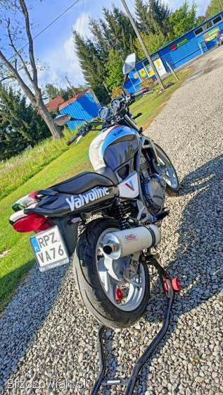 Kawasaki ER 5 1999