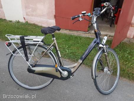 Rower Batavus