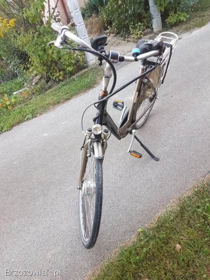 Rower Batavus