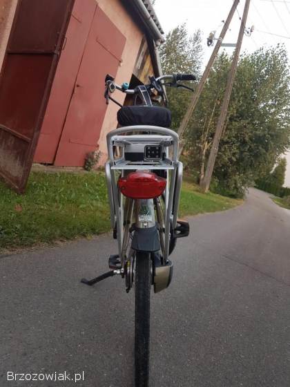 Rower Batavus