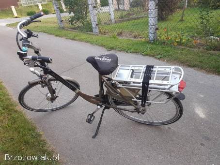 Rower Batavus