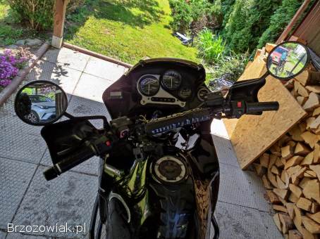 Triumph Tiger 1995