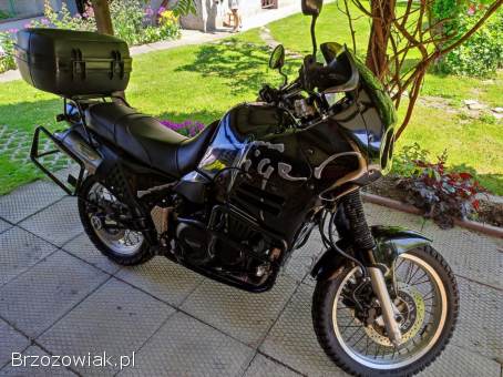 Triumph Tiger 1995