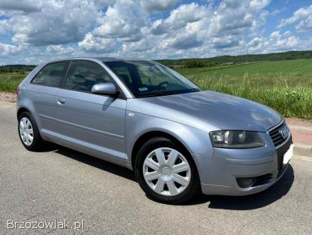 Audi A3 1.  9TDi 105km 2003