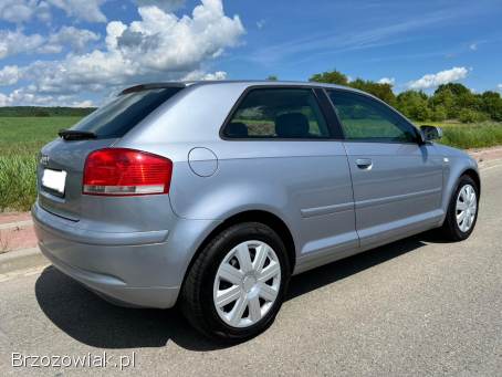 Audi A3 1.  9TDi 105km 2003