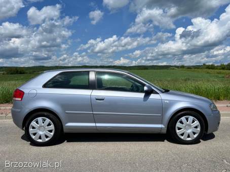 Audi A3 1.  9TDi 105km 2003