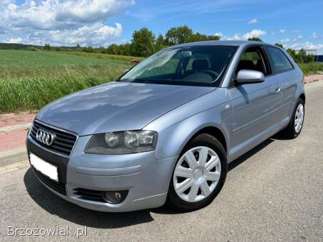 Audi A3 1.  9TDi 105km 2003