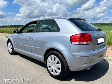 Audi A3 1.  9TDi 105km 2003