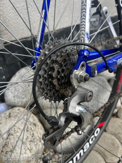 Kolarka ammaco xrs 700
