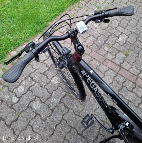 Rower Trekingowy Pegasus Męski z Niemiec