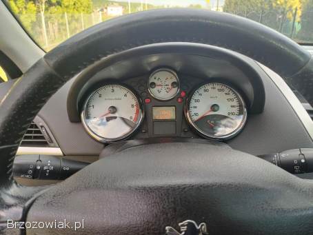Peugeot 207 Outdoor 2008