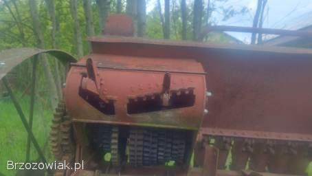 Siewnik 19